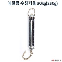 현대계기(대동상사) 매달림저울 수칭저울 20kg 30kg 50kg, 30kg(250g)