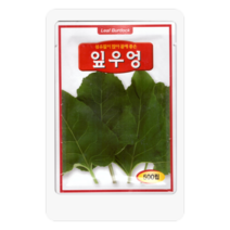 잎우엉씨 500립 우엉씨 잎우엉 씨앗 대장 동원종묘