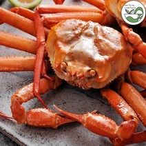 포항 구룡포 홍게 제철 박달 자숙 10미 동해 산지직송, 03. 가성비 홍게 10마리
