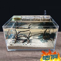 어항 화분 관상용새우키우기 조경 수조 물고기 해파리 거북이, 05
