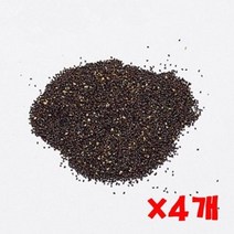 캣닢씨앗 2g 고양이 캣닙키우기 4개 펫모닝 씨앗 캣닙, 상세페이지 참조, 상세페이지 참조