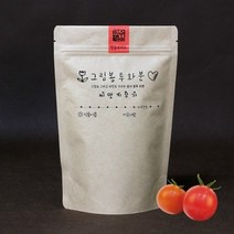 셀러허브 생활리빙 그림봉투화분 방울토마토_Nex, 기본