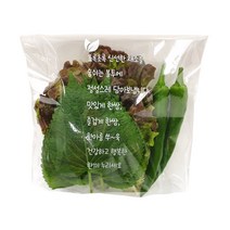 초록쌈 배달 쌈채소 봉투 190*230(+M40)+40 (1000장)
