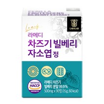 라메디 고농축 차즈기 추출물 빌베리 눈 자소엽 캡슐 영양제, 4주분(1박스)
