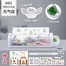 필통 다육이 플라스틱 원통 다육이 식물 키우기 초등학생 어린이, A개