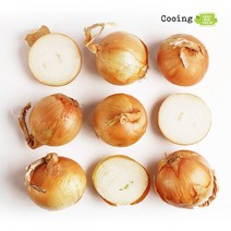 쿠잉Fresh 국내산 햇 양파 2 4 8kg 소 중 대 특대, 2kg(소), 1개