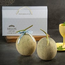 9월25일 오전9시까지 주문시 명절전배송 산해마을 VIP 청정메론 선물세트 -인증