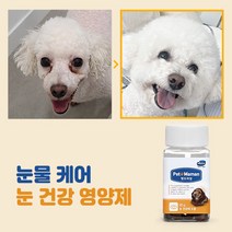 펫또마망 강아지 눈 영양제 눈물자국/시력/건조함 케어 1BOX, 눈건강에 도움 1BOX