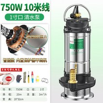 펌프 농업용 가정용 수중 가압 양수기 워터 진공 정화조 지하수 양수기 순환, 750w 정수형+10m 호스