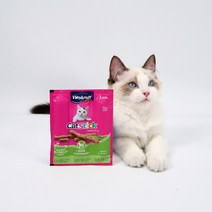비타크래프트 캣스틱 치킨 캣그라스 18g X 20개, 치킨그라스, 20개입