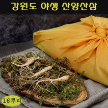 강원도 자연산 산양삼 야생 산양 산삼 장뇌삼 산삼주 효능 가격 먹는법 추석 명절 vip 선물 세트 국내산 정품, 2세트, 8뿌리