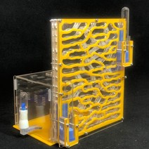 흰개미사육 여왕개미키우기 개미사육장 개미분양 일본왕개미 아크릴사육장Diy 아크릴 개미, 노란색, 19.5x15.5x22cm