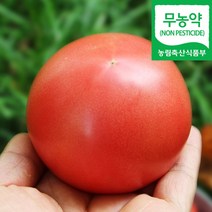 (자연마을)친환경 무농약 논산 완숙 토마토 2kg 3kg 5kg, 친환경 무농약 논산 완숙 토마토 2kg