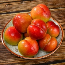 [초록자연] 추희 자두 5kg (36-40과) (왕특) 선물세트, 상세 참조