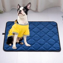 왕실 동물 개 매트 냉각 여름 패드 매트 개 고양이 담요 소파 통기성 애완견 침대 빨 수 있음 개 침대, blue thick+M 50x75