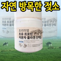 초유 프로틴 산양유단백질분말 280g, 1통, 1개