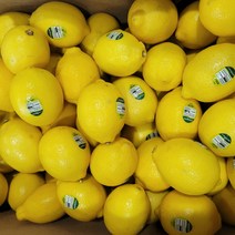 신선한 정품 팬시레몬 (개당 중량 120g내외) 1.5kg 3kg 5kg 10kg, 팬시 레몬 1.5kg(약 11~14과)