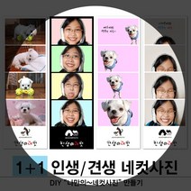 [동네사진관] 견생네컷 사진인화 애견사진 강아지 증명사진 반려동물사진, 1세트, 기본&확대