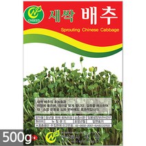 청농종묘 대용량 무순 새싹 씨앗 500g - 새싹씨앗 무순씨앗 무순새싹씨앗 새싹무순 무순씨 새싹씨앗무순, 07_새싹대용량_배추(500g)