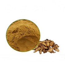 우엉농축분말 1kg, 단품, 단품