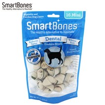 펫매트릭스 스마트본 덴탈미니16P, 덴탈미니1개