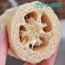 친환경 천연 수세미 만들기 친환경 수세미 식물, 단품, 단품