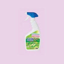 락카 수성페인트 다용도 제거제 550ml july+1666Ea, 무엇이든몰 1, 무엇이든몰 본상품선택