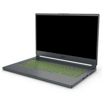 MSI 델타 15 AMD 어드밴티지 에디션 15.6, 카본그레이, MS-15CK, 라이젠9 4세대, 512GB, 16GB, Free DOS