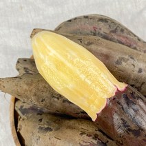 강원도 야콘 레드야콘 5kg 10kg, 레드야콘 10kg 못난이(갈라짐)