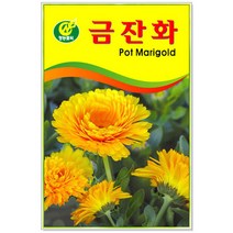 금잔화 20립 꽃씨