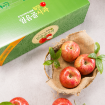 신복농원 [복팜] 밀양얼음골사과 햇사과 [부사10kg] 산지직송 GAP농가 농부직송, 10kg-35과(중과), 1박스