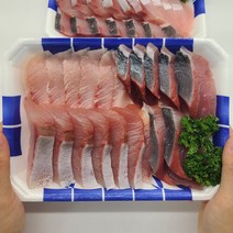 [씨쿡] 활 대방어회(원물중량7-11kg) 필렛 500g내외 소스증정, 단품