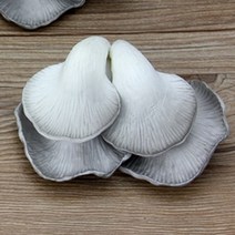 고추말리는기계 고추건조기 절단기 인공 버섯 그림 모델 홈 장식 사진 쇼 소품 인공 버섯 야채 시뮬레이션, 4개 로트