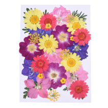 [드그라쎄] 캔들만들기 DIY재료, 42.압화 꽃모음 세트 (F)