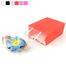 SIMPLE COLOR 미니 종이 쇼핑백, 블랙
