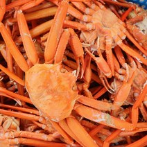 선주 산지직송 살이 꽉찬 제철 박달홍게 1kg 3kg 생물 자숙, 박달홍게 대 3kg(4-5미내외), 1개
