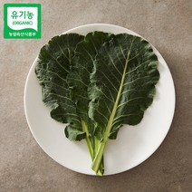 친환경 유기농 케일 녹즙 케일 즙용 쌈용 1kg 2kg 3kg 산지직송, 유기농 즙케일 3kg