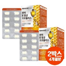 내츄럴플러스 면역 항균 프로폴리스 아연 환절기 구강 건강 씹어먹는 츄어블 2박스 4개월분, 500mg 60정 2박스