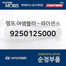 차량번호판등 번호등 넘버등 램프 (925012S000)-현대모비스 부품 공식대리점 온라인쇼핑몰 파츠로 투싼IX