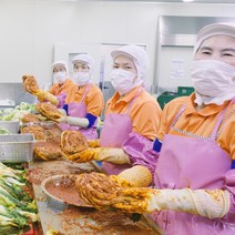 100% 국산 전라도 인증받은 배추김치 포기김치 포기배추김치, 10kg