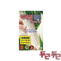 KS 대학찰 옥수수 70립, 대학찰 골드 연농3호 옥수수씨앗 70립