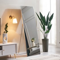 에이스홈 크리스탈 와이드L 전신거울, 실버 / MA115_SLV, 스탠드형