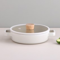 네오플램 피카 IH 인덕션 전골냄비 22cm