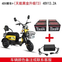 3륜 전기 오토바이 전동 전동차 2인승 삼륜 스쿠터, 01.48V 13A 배터리 충전기