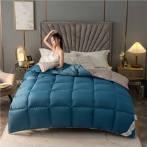 슈퍼싱글 겨울 무거운 이불 고급 다운 두껍게하는 면화 피부 친화적 인 편안하고 따뜻한