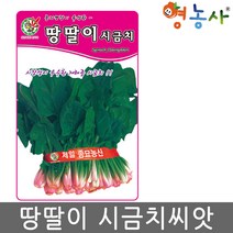 땅딸이 시금치씨앗 35g