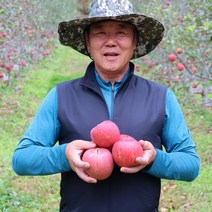 봉화[친정사과]춘양 고랭지 산지직송 고당도 부사 햇 꿀사과, 정품5kg중과(16과-18과)