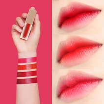 모아트 [모아트] 컬러래스팅 틴트 4종, 선택완료, C2 제스터레드