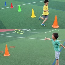 멀티칼라콘 50x30cm 반환점 트레이닝 훈련 트랙만들기 놀이소품 삼각콘, 그린