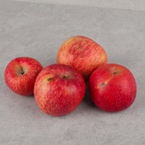 [오늘신선] 경북 청송 홍로 사과 가정용 5kg(사이즈 랜덤 발송), 단품
